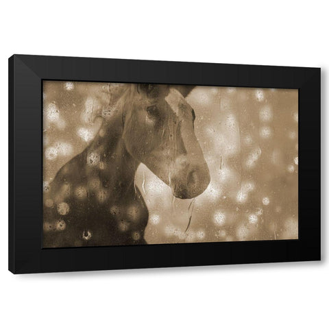 Browney Farm Horse Black Modern Wood Framed Art Print with Double Matting by Phillip, Jamie
