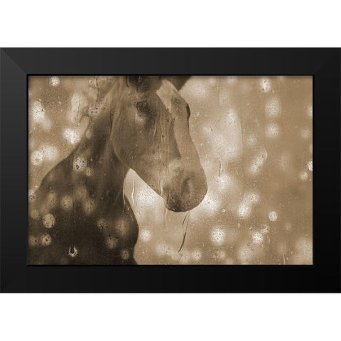 Browney Farm Horse Black Modern Wood Framed Art Print by Phillip, Jamie