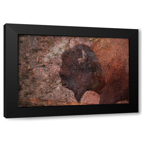 Brown Buffalo 2 Black Modern Wood Framed Art Print by Phillip, Jamie