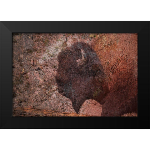 Brown Buffalo 2 Black Modern Wood Framed Art Print by Phillip, Jamie