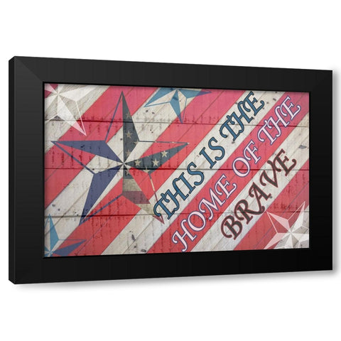 American Heart 1 Black Modern Wood Framed Art Print with Double Matting by Phillip, Jamie