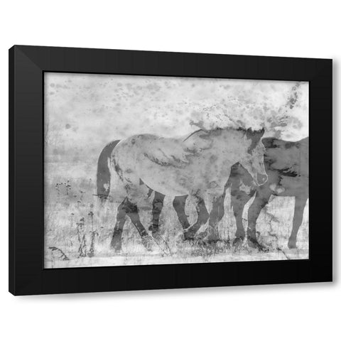 Ranch Horse Black Modern Wood Framed Art Print with Double Matting by Phillip, Jamie