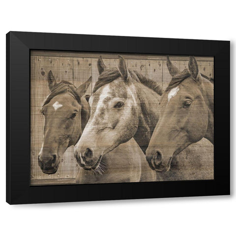 Companion Black Modern Wood Framed Art Print with Double Matting by Phillip, Jamie