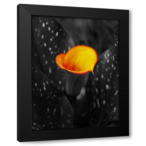 Midnight Glow Black Modern Wood Framed Art Print with Double Matting by Phillip, Jamie