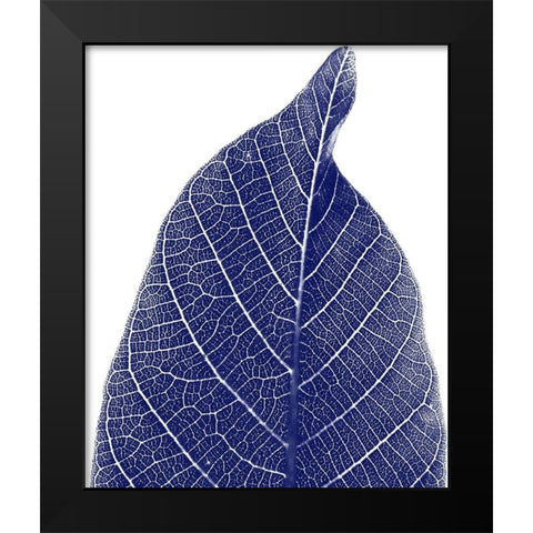 Indigo Half 1 Black Modern Wood Framed Art Print by Phillip, Jamie