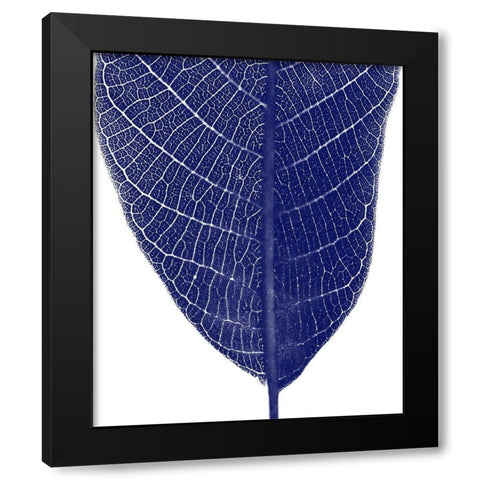 Indigo Half 2 Black Modern Wood Framed Art Print by Phillip, Jamie