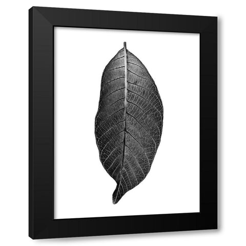 Dark Moon Glow Black Modern Wood Framed Art Print with Double Matting by Phillip, Jamie