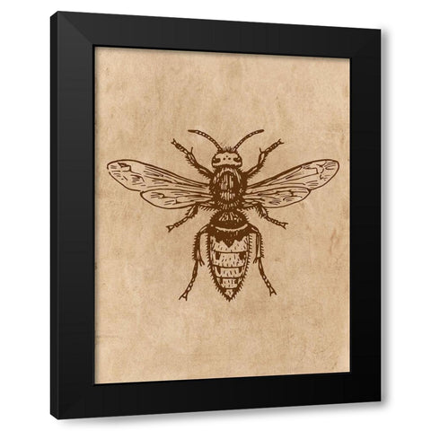 Specimen 1 Black Modern Wood Framed Art Print with Double Matting by Phillip, Jamie