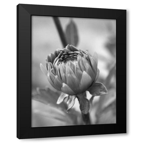 Rear View Black Modern Wood Framed Art Print with Double Matting by Phillip, Jamie