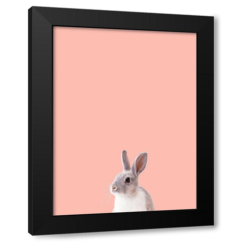 Bunny Black Modern Wood Framed Art Print by Phillip, Jamie