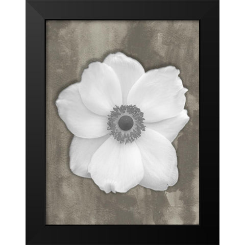 Pure White Flower Black Modern Wood Framed Art Print by Phillip, Jamie