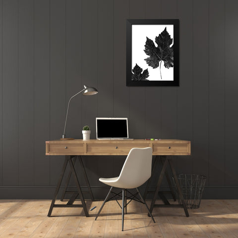 Shaded Leaf 1 Black Modern Wood Framed Art Print by Phillip, Jamie