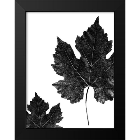 Shaded Leaf 1 Black Modern Wood Framed Art Print by Phillip, Jamie