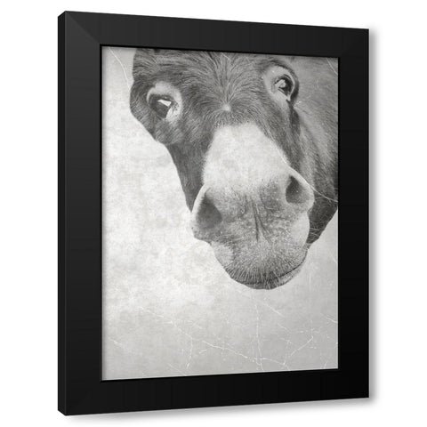 Farm Donkey Black Modern Wood Framed Art Print with Double Matting by Phillip, Jamie