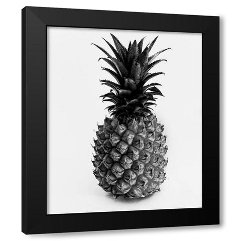 Aloha 3 Black Modern Wood Framed Art Print by Phillip, Jamie