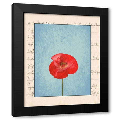 Red Flower Black Modern Wood Framed Art Print with Double Matting by Phillip, Jamie