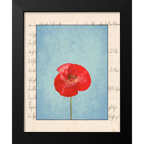 Red Flower Black Modern Wood Framed Art Print by Phillip, Jamie