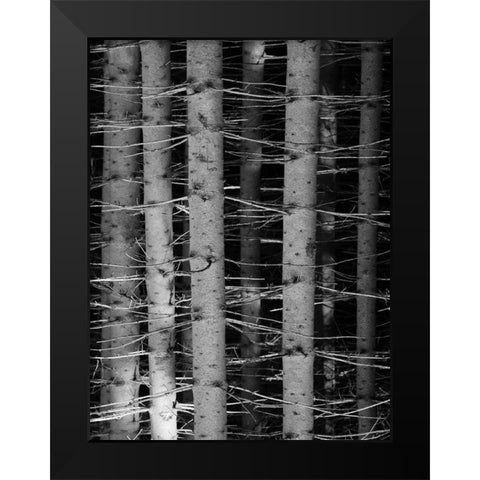 Dark Woods Black Modern Wood Framed Art Print by Phillip, Jamie