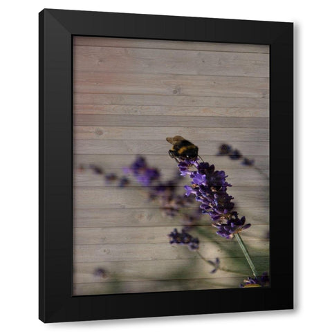 Lavender Dream Black Modern Wood Framed Art Print by Phillip, Jamie