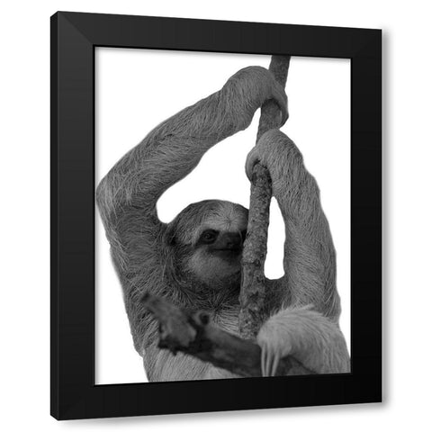 Hang In Black Modern Wood Framed Art Print by Phillip, Jamie