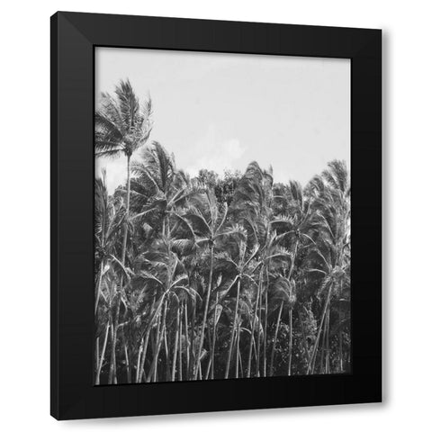 Trop Palm Black Modern Wood Framed Art Print by Phillip, Jamie