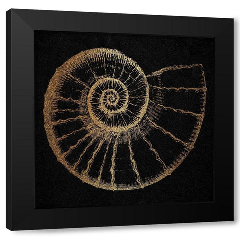 Gold Shell 2 Black Modern Wood Framed Art Print with Double Matting by Phillip, Jamie
