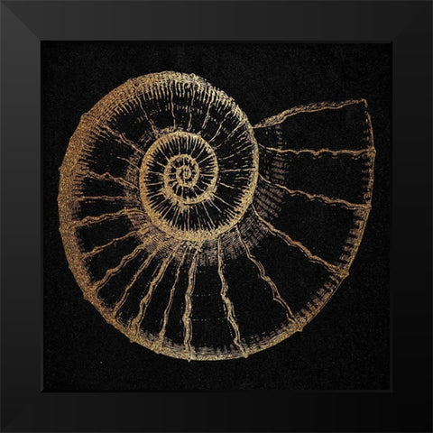 Gold Shell 2 Black Modern Wood Framed Art Print by Phillip, Jamie