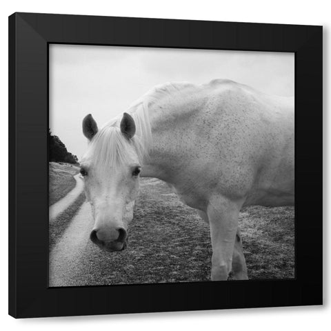White Enchantment Black Modern Wood Framed Art Print by Phillip, Jamie