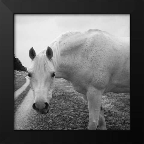 White Enchantment Black Modern Wood Framed Art Print by Phillip, Jamie