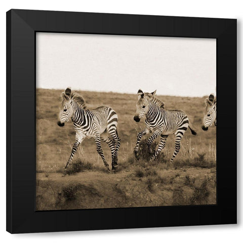 Young Runners Black Modern Wood Framed Art Print by Phillip, Jamie