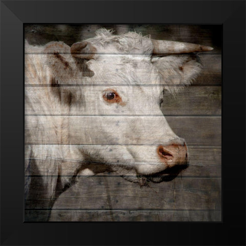 Bullkin 2 Black Modern Wood Framed Art Print by Phillip, Jamie