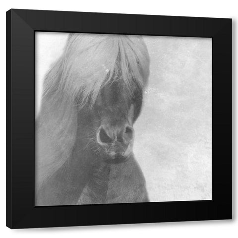 Wise Pony Black Modern Wood Framed Art Print with Double Matting by Phillip, Jamie