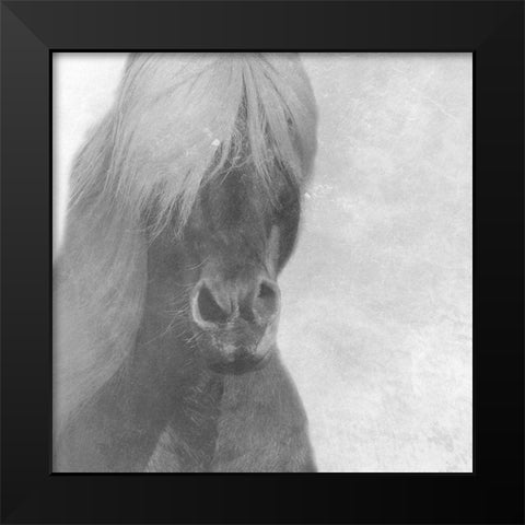 Wise Pony Black Modern Wood Framed Art Print by Phillip, Jamie
