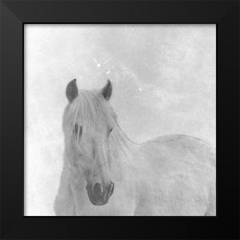 Wise Horse Black Modern Wood Framed Art Print by Phillip, Jamie