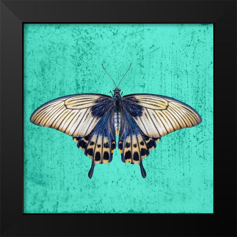 Butterfly Black Modern Wood Framed Art Print by Phillip, Jamie