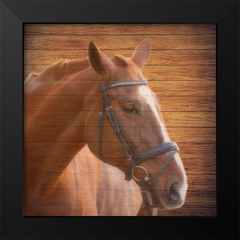 Horse Face Black Modern Wood Framed Art Print by Phillip, Jamie