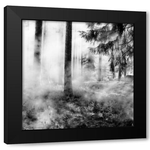 Black Forest Black Modern Wood Framed Art Print with Double Matting by Phillip, Jamie