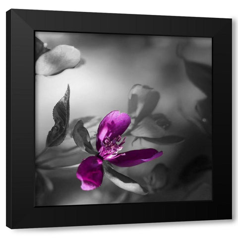 Purple Rain Black Modern Wood Framed Art Print by Phillip, Jamie