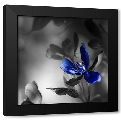Blues Black Modern Wood Framed Art Print with Double Matting by Phillip, Jamie