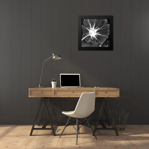 Unbrella Leaf Black Modern Wood Framed Art Print by Phillip, Jamie