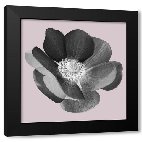 My Heart Black Modern Wood Framed Art Print by Phillip, Jamie