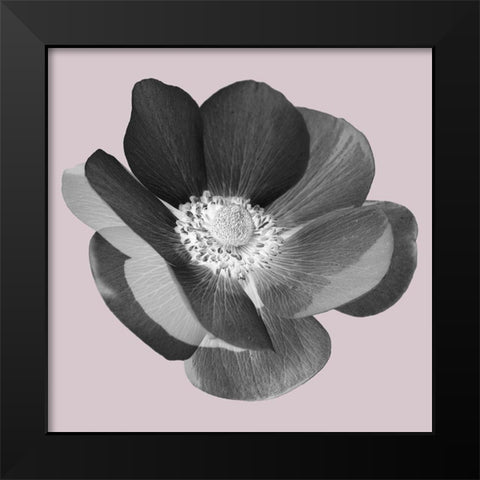 My Heart Black Modern Wood Framed Art Print by Phillip, Jamie