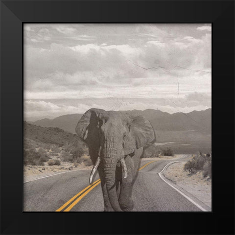 Safari Street Black Modern Wood Framed Art Print by Phillip, Jamie