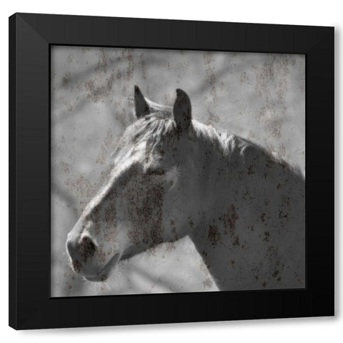 White Horse Black Modern Wood Framed Art Print by Phillip, Jamie
