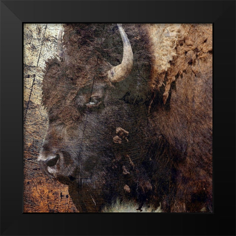 Mr.Buffalo Black Modern Wood Framed Art Print by Phillip, Jamie