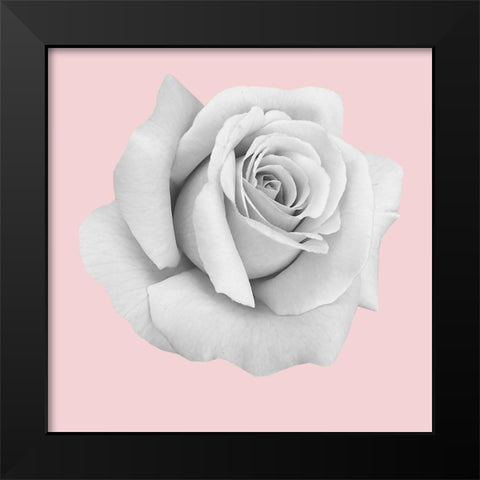 Rose Gold Black Modern Wood Framed Art Print by Phillip, Jamie
