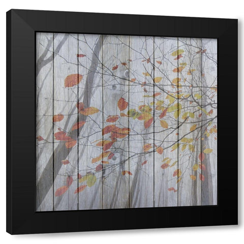 Fall Leaves Black Modern Wood Framed Art Print by Phillip, Jamie