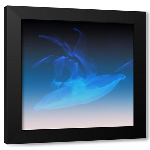 Xray Jelly Black Modern Wood Framed Art Print with Double Matting by Phillip, Jamie