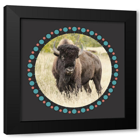 Buffalo Ring 1 Black Modern Wood Framed Art Print by Phillip, Jamie