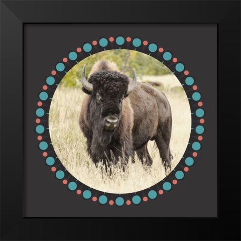 Buffalo Ring 1 Black Modern Wood Framed Art Print by Phillip, Jamie